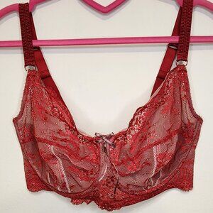 Heidi Klum Intimates 34FF Lace Red Sexy Underwire Bra and Panty Set